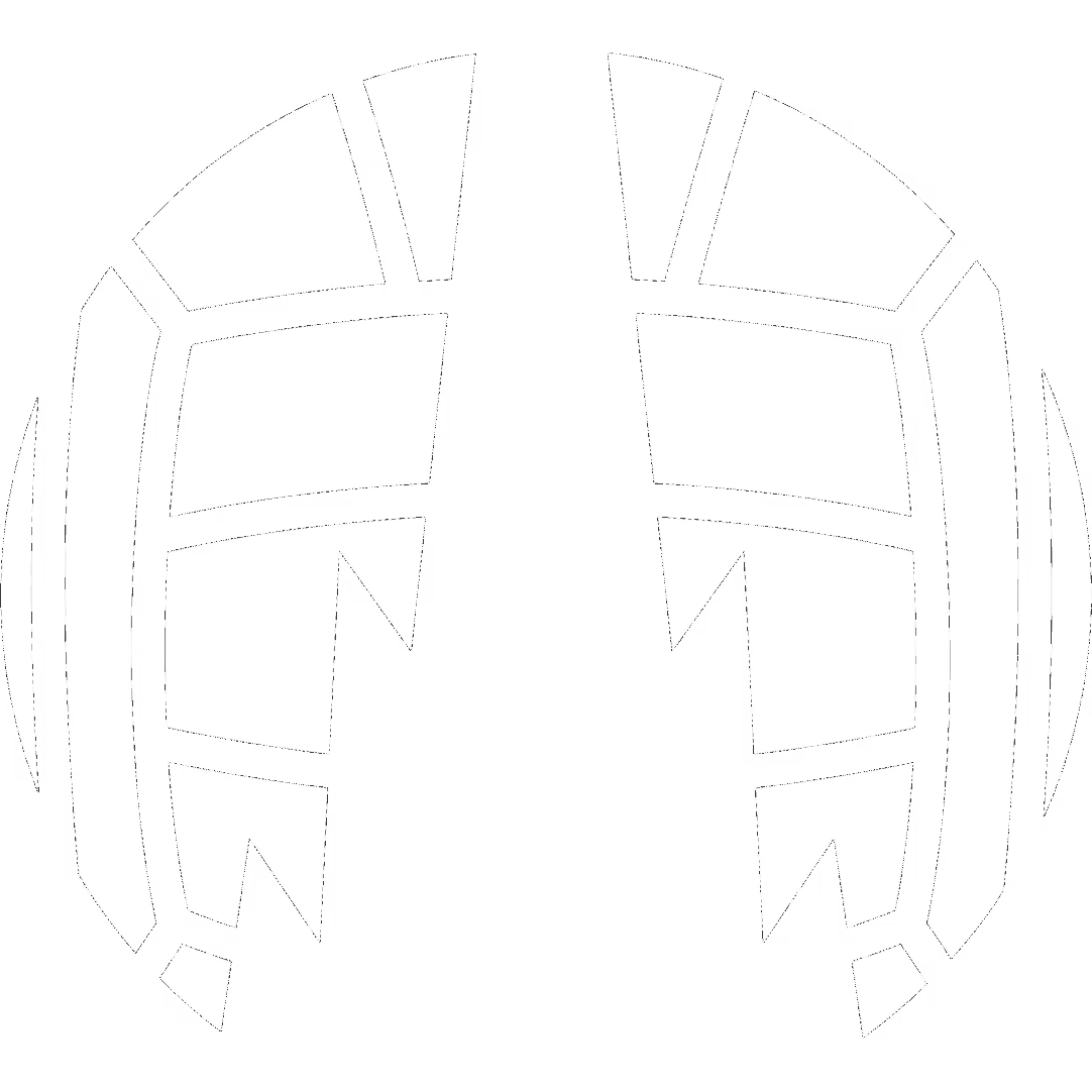 Falkirk Football Club crest